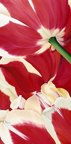 Bild auf gerollter Leinwand, Motiv Blumentraum Poelstra-Holzhaus Yvonne, vertikal, Kunstdruck, Tulpen, lang, rot, orange, modern, frisch, holländisch, 94 x 45 cm
