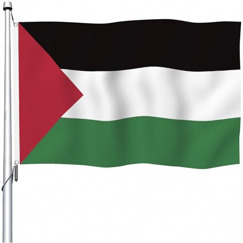 Aoihrraan Bandera Palestina 60x100cm Doble Cara Bandera Palestina Celebración Al Aire Libre Pancarta Jardín Familiar Fiesta Bandera Decorada Con 2 Anillos Fuertes