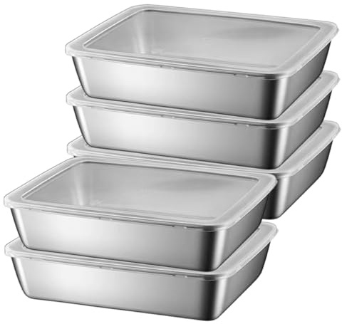 Hbbgdiy Contenitori di alimenti in acciaio inossidabile 5 pezzi di stoccaggio impilabile con coperchi in plastica trasparenti per frigorifero, pranzo, picnic per barbe
