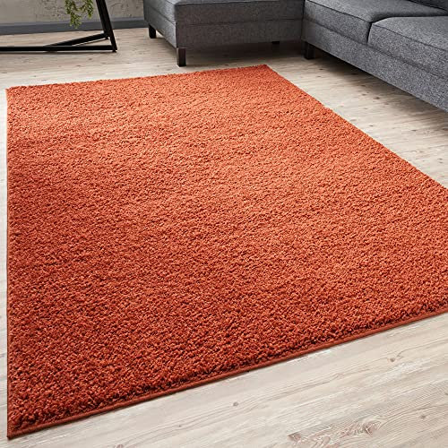 THE RUGS Living Room Rug - Shaggy Soft And Elegant Carpets For The Bedrooms And Kitchen, Easy To Clean, Many Different Sizes (60x110 cm, Terra)