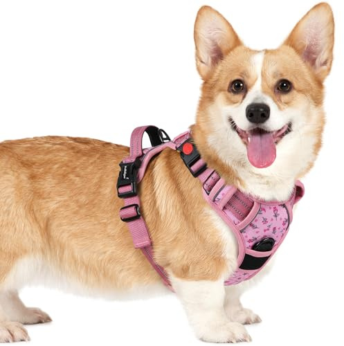 rabbitgoo Hundegeschirr Kleine Hunde Leichtes Anlegen, S, Blume Rosa | Anti Zug, Ohne Kopfdurchzug, Halsverschluss mit Sicherung, 2 D-Ringe, Weich Gepolstert, Reflektierend für Gassi & Training