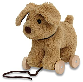 Little Bird Told Me - Dexter Dog Pull Along Toy for Baby 6+ Months Unisex - 2-in-1 Soft Toy, Removable Wheels, Sensory Plush Fabric - British Brand Since 2007