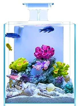 Akkua Acuarionano, Acuario Nano Cubic 26 litros Kubik 30 con Filtro y luz