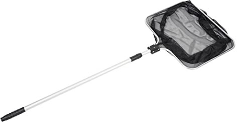 duvoplus, Epuisette Bassin mai Les Fines 40x35cm, Poisson, Poissons