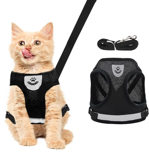 Shengxi Katzen Geschirr und Leine Sets Weich Mesh Westen Geschirre für Welpen Ausbruchsicher Katzengeschirr mit Leine und Leuchtstreifen für Outdoor Training Gehen (Schwarz/S)