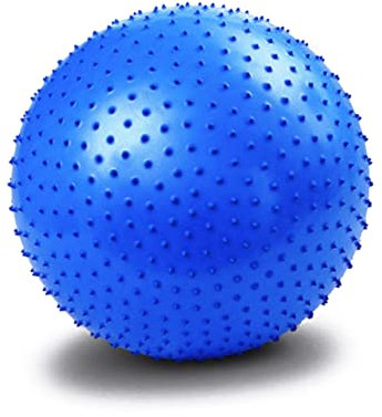 NAMOARLY Rückenmassage 85cm High-Density-PVC-Fitness-Yoga Für Entspannungsdehnung