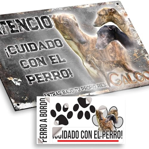 Galgo Español Cartel de Cuidado con el Perro 20x12,5cm - Diseño Vintage Dibond con Pegatina Coche Premium 20x5cm