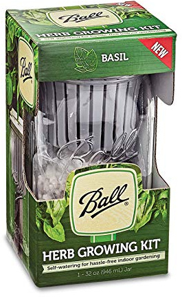 Ball Wide Mouth Food Jar 32 oz. 1 pk