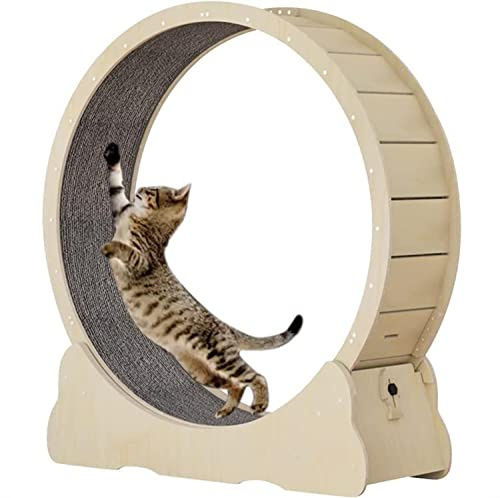 JIADUOFU Katzenlaufrad aus Holz, Laufband für Katzen, Laufband für Katzen, schwarzes Laufrad für Katzen, Katzenkratzbrett/Krabbelregal, für die meisten Katzen,L-Brown