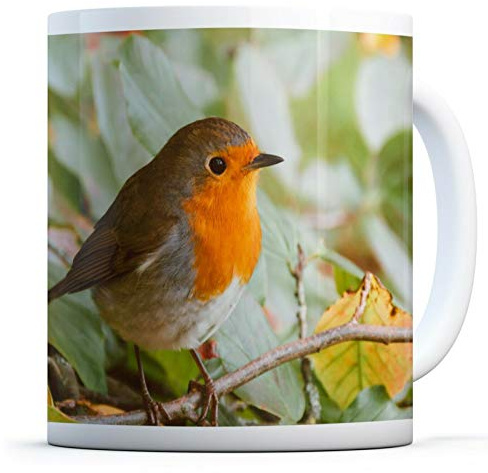 Cute Red Robin - Drinks Mug Cup Kitchen Birthday Office Fun #14318
