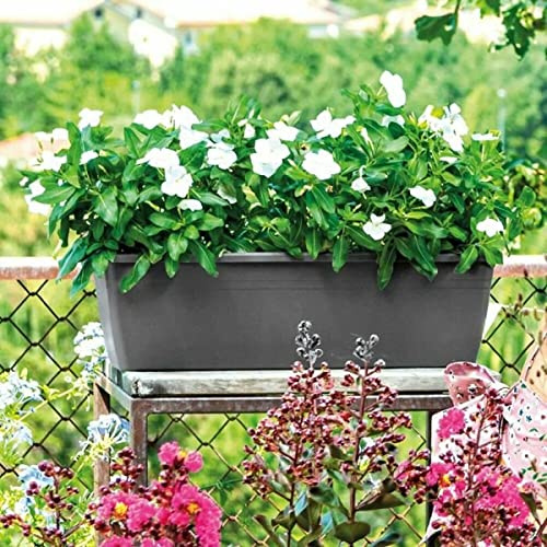 Deroma Pflanzkübel Day R, rechteckig, 50 cm, Anthrazit