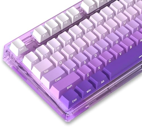 Catekro Side Print Tastenkappen - PBT Double Shot Custom Keycap Set, 136 Tasten Gradient Purple, OEM Profile für Tastatur