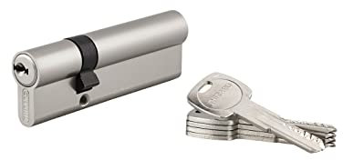 THIRARD - Cylindre de Serrure Double Entrée - Trafic 6 - Laiton - Haute Sécurité - Cylindre Européen - Anti-Arrachement, Anti-Perçage, Anti-Crochetage - 30 x 65 mm - Gris - 5 Clés Réversibles
