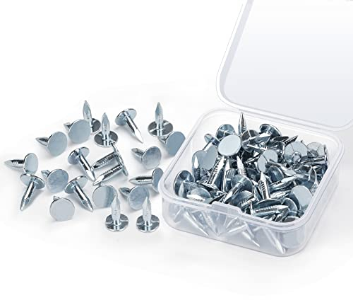 Woonyee Chiodi per Feltro per Tetti, 100 pezzi Chiodi per Tetti, Chiodi in Feltro Zincati, Chiodi per Tetto, Clout Chiodi, Chiodi per tetto a capannone, pannelli in ardesia, perni a testa larga
