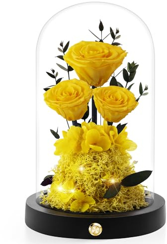 Agrul Muttertagsblumen, Rosen Geschenke für Mutter, für immer konservierte Blume in Glaskuppel, frische Blumen für Lieferung, Muttertag, Geburtstag, Geschenke für Ehefrau, Mutter, Oma von der Tochter