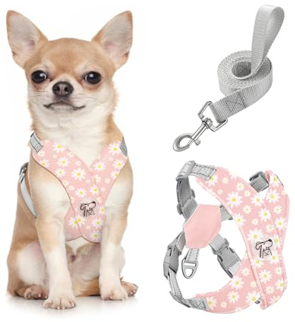 Pawaboo Puppy Harness and Lead Sets, Small Dog Harness X-Frame No Pull No Choke, Dog Vest Harness Adjustable for Small Medium Sized Dogs, Soft Breathable Pet Harness Walking Outing, S, Pink Daisy