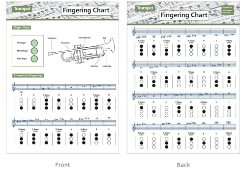 Trompet Trombord POSTER-TUMPET SICHAGE MIT GRIFFEN, ORKEN UND NOTEN | Musikinstrumente Referenzhandbuch für Anfänger, Trompeten-Griff-Tisch, Amlio-Übungsposter