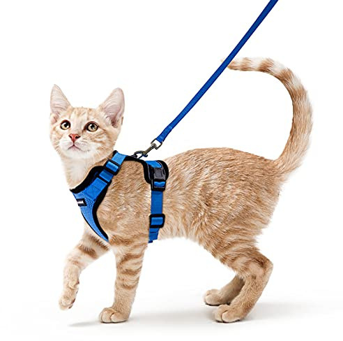 rabbitgoo Pettorina Gatto Antifuga con Guinzaglio, Guinzaglio per Gatti Regolabile, Pettorina Cane Taglia Piccola Riflettente, Imbracatura Gatto Adulto in Maglia Traspirante per Passeggiate, Blu, XS