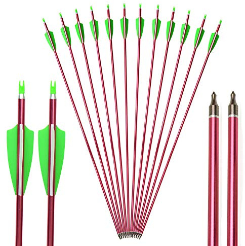 AMEYXGS Bogenschießen Aluminiumpfeile 31zoll Jagd Bogen Pfeile und Übungspfeile im Visier Spine 500 mit Einschraubpfeilspitze zum Verbindung Bogen und Recurve Bogen (rot, 6pcs)