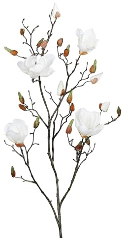 Magnolienzweig DP Kunstblumen künstliche Magnolie Blumen Seidenblumen (Weiß-Creme, 110cm)