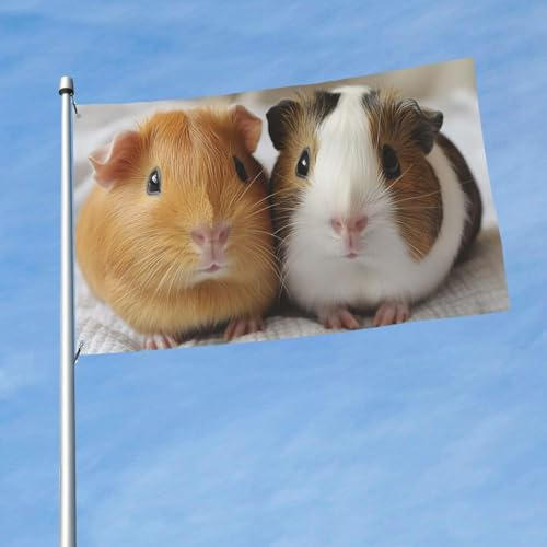 Drapeau d'extérieur double face de 0,9 x 1,5 m avec 2 œillets en laiton pour cochons d'Inde, drapeau de cour toutes saisons pour jardin, pelouse, décoration extérieure