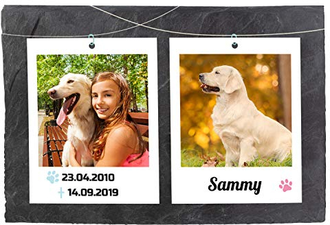 wandmotiv24 Gedenktafel Tiere, 30x20cm, Wetterfest, Schieferplatte Personalisiert mit 2 Farb-Fotos, Name & Datum, Grabstein Hund Katze, Grabschmuck, Witterungsbeständig, Trauertafel M0264