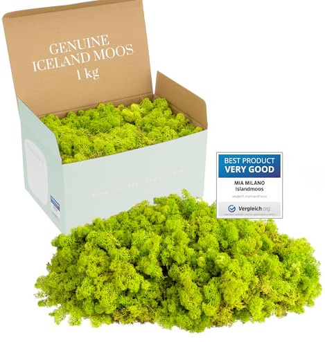 Mia Milano Lichene Verde Claro 1kg | Musgo Preservado Decorativo Natural | Ideal para Manualidades, Jardines Verticales y Decoración del Hogar