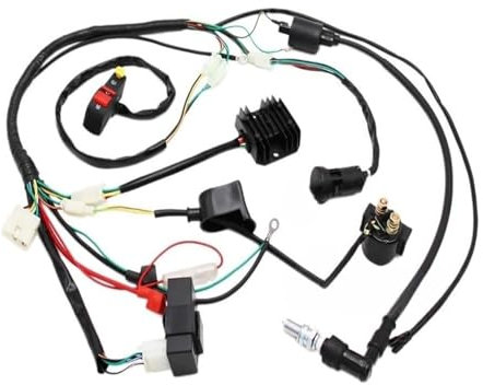 Motorradzündung Für Motorspule Für Dirt Bike Für 150cc 200cc 250cc Motorrad CDI Zündung Gerät Kabelbaum CDI Zündspule Kits(A)
