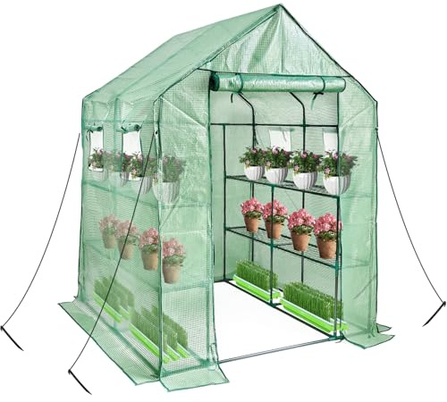 Grandhom Invernadero con estantes, marco de plástico para jardín, invernadero de 12 niveles con cubierta de polietileno reforzada y 4 ventanas, 195 x 143 x 143 cm, para siembra en interiores y