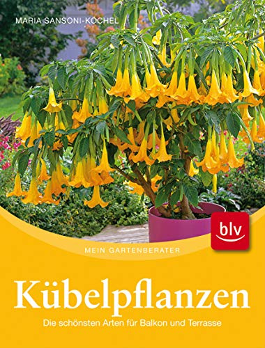 Kübelpflanzen: Die schönsten Arten für Balkon und Terrasse
