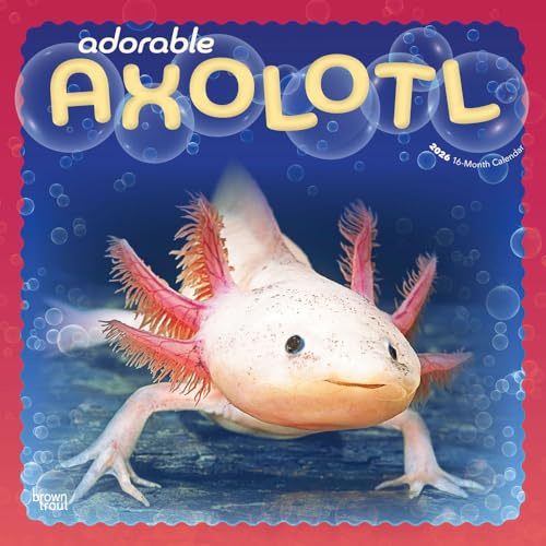 Adorable Axolotl | Calendario mensual cuadrado de pared 2026 de 12 x 24 pulgadas (colgado) | Sin plástico | BrownTrout | Animal anfibio