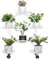 unho Estanteria para Macetas de Metal con Ruedas, Soporte para Plantas de 6 Niveles con Ruedas Universales Soporte Macetas Exterior Interior para Salón Balcón Terraza Patio, Blanco