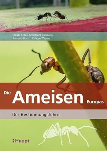 Die Ameisen Europas: Der Bestimmungsführer
