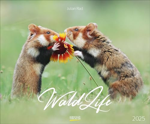 WaldLife 2025: Großer Wandkalender mit poetischen Aufnahmen einheimischer Wald- und Wildtiere. Querformat: 55 x 45,5 cm