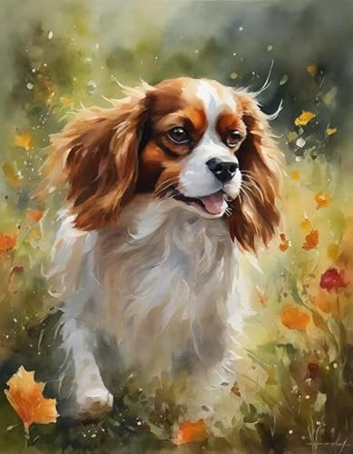 ZMHZMY Malen nach Zahlen Erwachsene,Cavalier King Charles Spaniel,DIY Malen nach Zahlen für Erwachsene, Malset mit Leinwand und Pinsel,40 x 50 cm,Rahmenlos