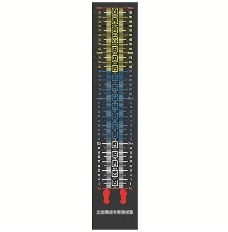 Trainingsmatten, stehende Sprungmatte, Weitsprungmatte, rutschfeste Übungs-Messunterlage mit Emoji, Indoor-Bodenbelag, Springseil-Trainingsmatte, für Fitnessstudio, Schule, Zuhause (Grey 2.5mm)