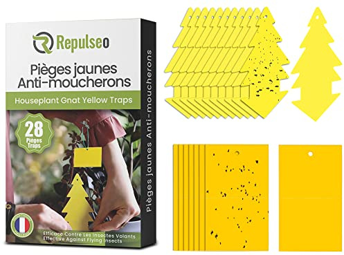 Repulseo Gelb-Aufkleber gegen Blattläuse, weiße Fliegen, Thripse, Insektenfalle für Pflanzen, doppelseitig, für den Innen- und Außenbereich, Haus, Balkon, Garten | ungiftig, ohne Insektizide [28 Stück