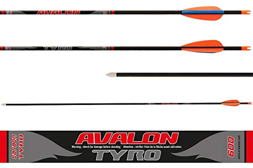 Florsol Avalon Carbonpfeile Tyro Spine 800 6 Stück