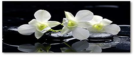 Tulup Glas-Bild Wandbild aus Glas - Wandkunst - Wandbild hinter gehärtetem Sicherheitsglas - Dekorative Wand für Küche & Wohnzimmer 125x50 - Blumen & Pflanzen - Orchidee - Weiß