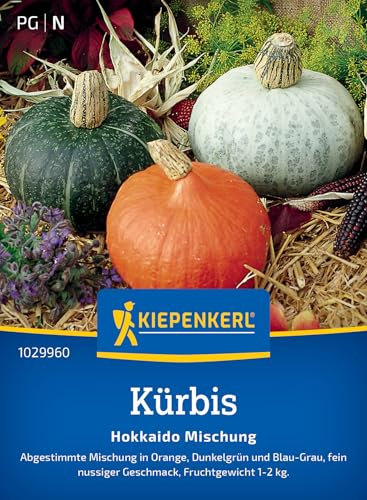 Kiepenkerl Kürbissamen Hokkaido Mischung 1029960 - Mischung in Orange, Dunkelgrün und Blau- grau - fein- nussig - Samen Gemüse, Saatgut, Gemüsepflanzen