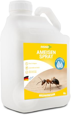 INSIGO Ameisen Abwehrspray 5L Kanister - Ameisenmittel mit mechanischer Wirkung auf Ameisen - Effektiver Schutz für Haus & Garten - Ameisen Spray mit Sofortwirkung
