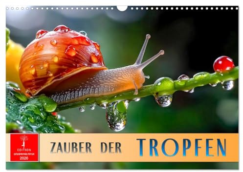 Zauber der Tropfen (Wandkalender 2026 DIN A3 quer), CALVENDO Monatskalender: Der Zauber des Morgentaus - eine glitzernde Natur. (CALVENDO Natur)