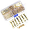 Ganci per Appendere Tele TIMESETL 100 Pezzi Gancio Foto per Cornice Oro, Ganci per Quadri Muro Aggancio Quadro con 200 Pezzi Viti per Gancio per Dente di Sega, Doppio Foro per Vite, Inossidabile