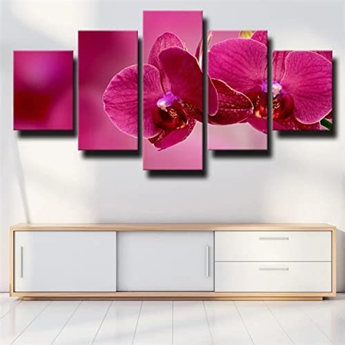 Schöne Rosa Orchidee Mit Rahmen 150 X 100 Cmleinwand Bild Wandbilder Wohnzimmer Modern Deko Kunstdrucke Wanddekoration Leinwandbild 5 Teilig Bild Auf Leinwand