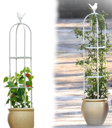 Metall Obelisk für Kletterpflanzen Höhen von 65 bis 205 cm Rankhilfe Ranksäule und Gartenspalier für Indoor & Outdoor, Ideal für Rosen und Blumen Robustes Design für Optimalen Halt(White,20 x 65cm/7.9