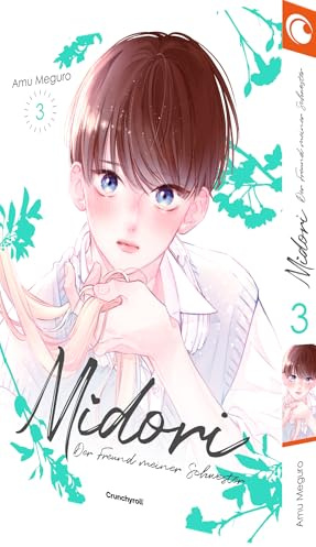 Midori – Der Freund meiner Schwester – Band 3