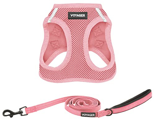 Best Pet Supplies Voyager Step-in Air All Weather Mesh Harness and Reflective Dog 5ft Leash Combo with Neoprene Handle, for Small, Medium and Large Breed Puppies - Set (Pink), X-Small