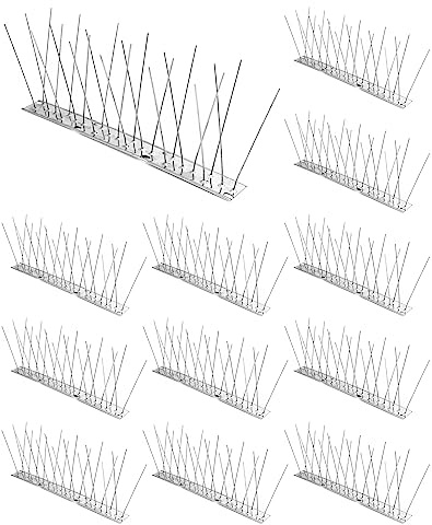 QWORK® 12 x fågelspikar – 25 cm/10 tum vardera – duva i rostfritt stål, mås, avskräckande för att driva ut små fåglar, total längd 3 m (10 fot)