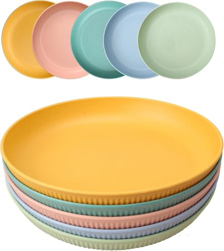 Wvu & Wvo 5 Stück Wiederverwendbar Camping Teller, 23cm Großer Kompakter Hartplastik Teller​Tiefe Speiseteller Unzerbrechlich Picknickteller Set Mikrowelle Spülmaschinenfest für Party Zuhause Reise