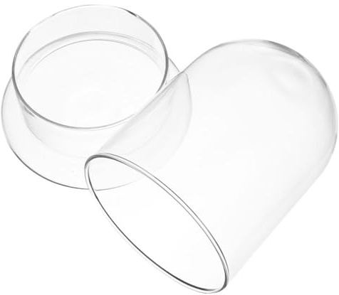 Homoyoyo Cloche en Verre Transparent pour Plantes avec Dôme Décoratif, Résistance la Corrosion, Économie d'eau, pour Décoration Maison et Bricolage DIY
